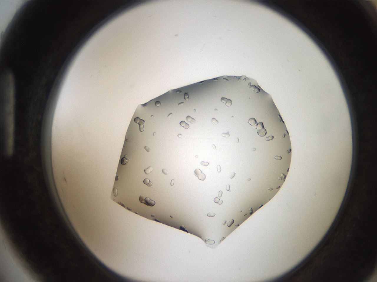 folderID207_plateID2207_batchID10014_wellNum89_profileID1_d1_r150311_ef.jpg