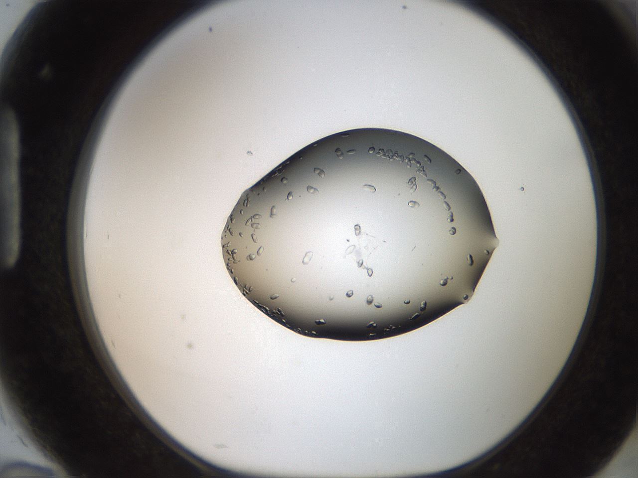 folderID207_plateID2207_batchID10014_wellNum94_profileID1_d1_r150321_ef.jpg