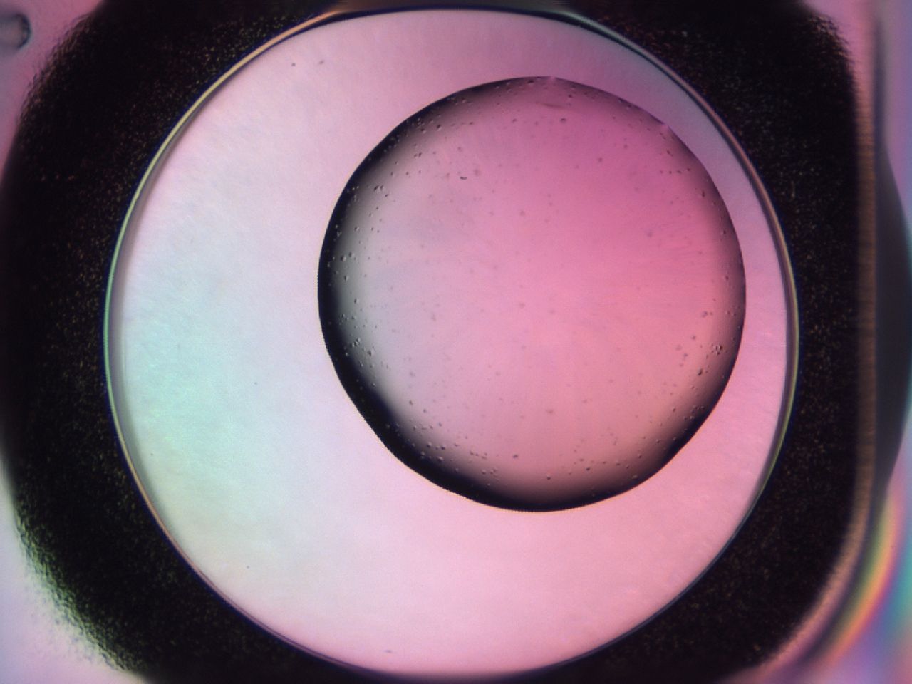 03e1_C2_ImagerDefaults_6.jpg