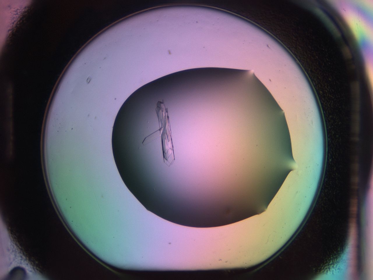 03e6_H11_ImagerDefaults_8.jpg