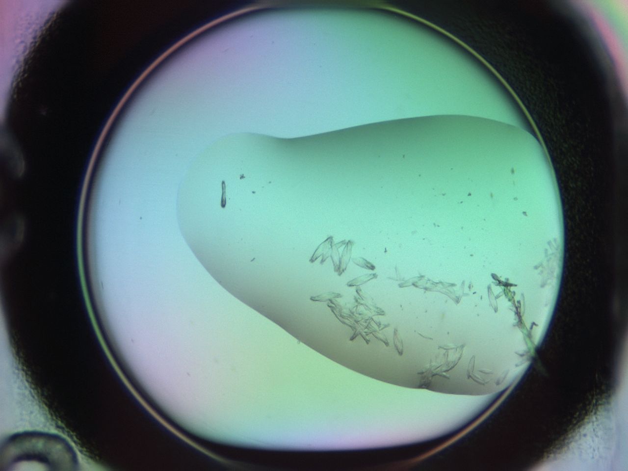 03ec_C12_ImagerDefaults_6.jpg
