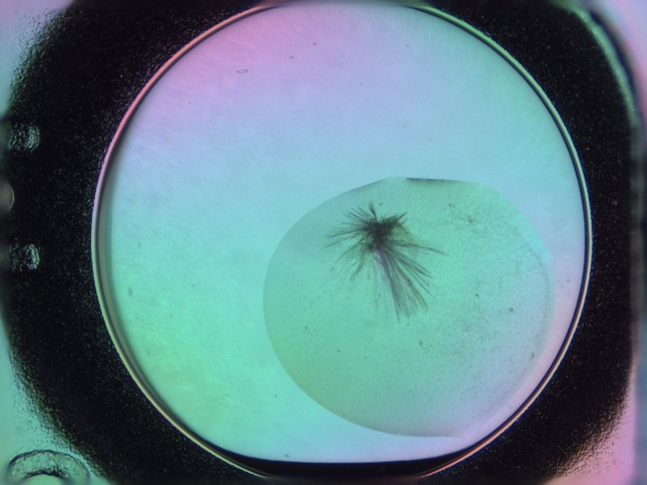 03ek_E12_ImagerDefaults_6.jpg