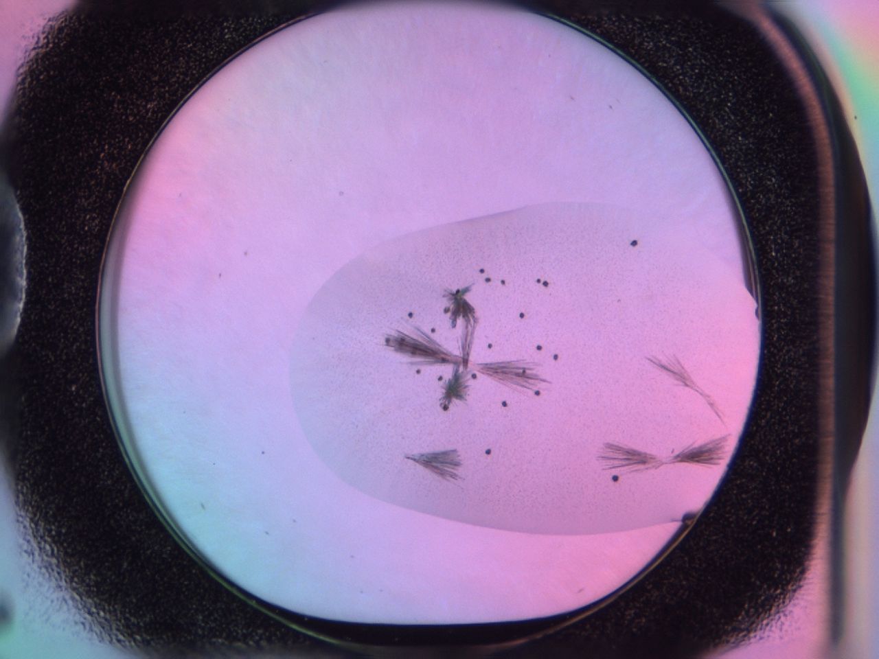 03en_D5_ImagerDefaults_6.jpg