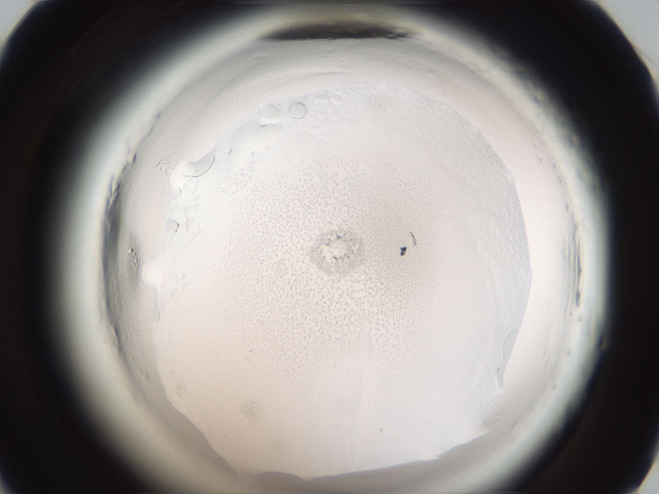 folderID587_plateID2587_batchID13159_wellNum45_profileID1_d1_r197997_ef.jpg