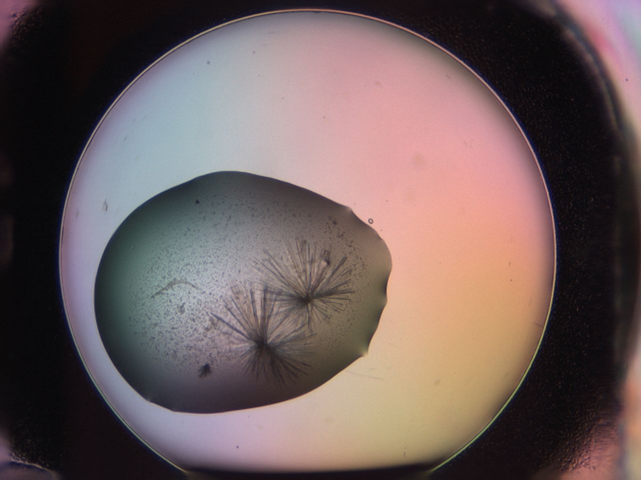 03eq_G12_ImagerDefaults_6.jpg