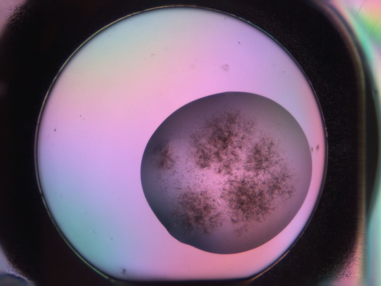 03eq_F10_ImagerDefaults_6.jpg