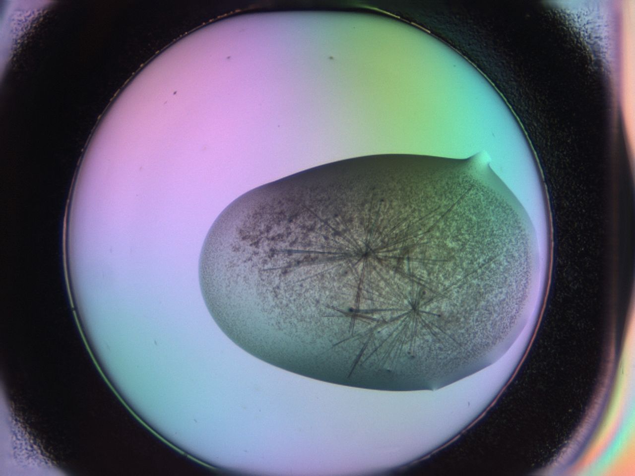 03er_D9_ImagerDefaults_6.jpg