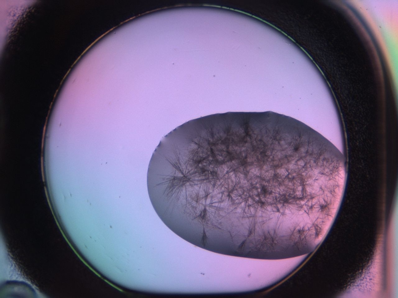03er_D10_ImagerDefaults_6.jpg