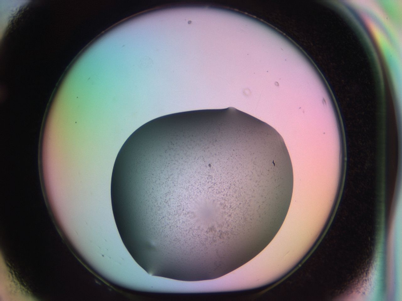 03er_F8_ImagerDefaults_6.jpg