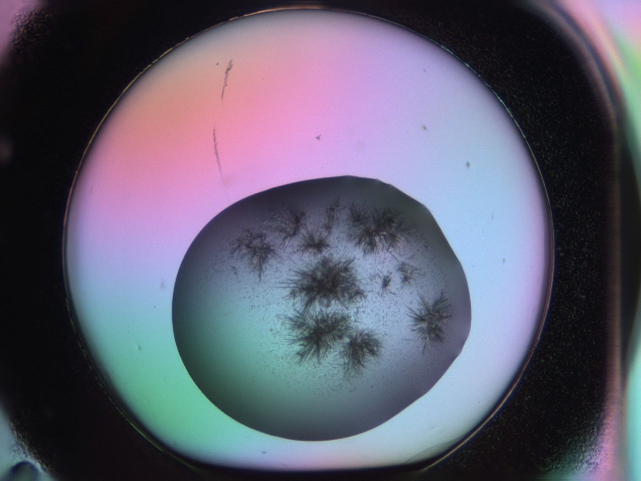 03er_F11_ImagerDefaults_6.jpg