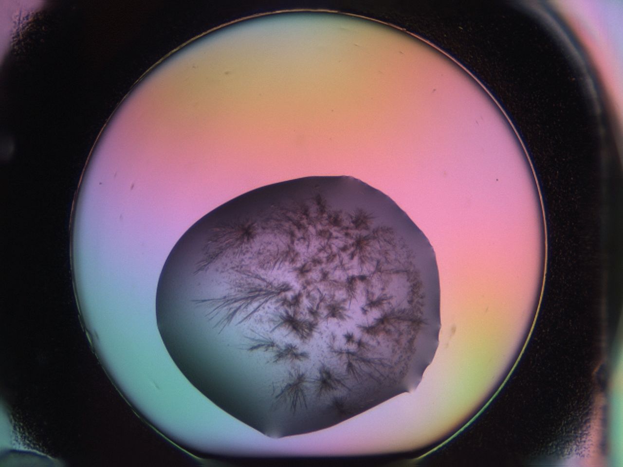 03er_F12_ImagerDefaults_6.jpg