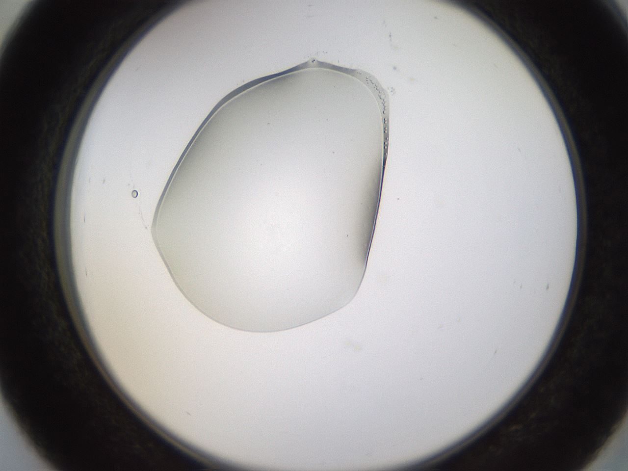 folderID594_plateID1594_batchID6733_wellNum39_profileID1_d2_r107009_ef.jpg