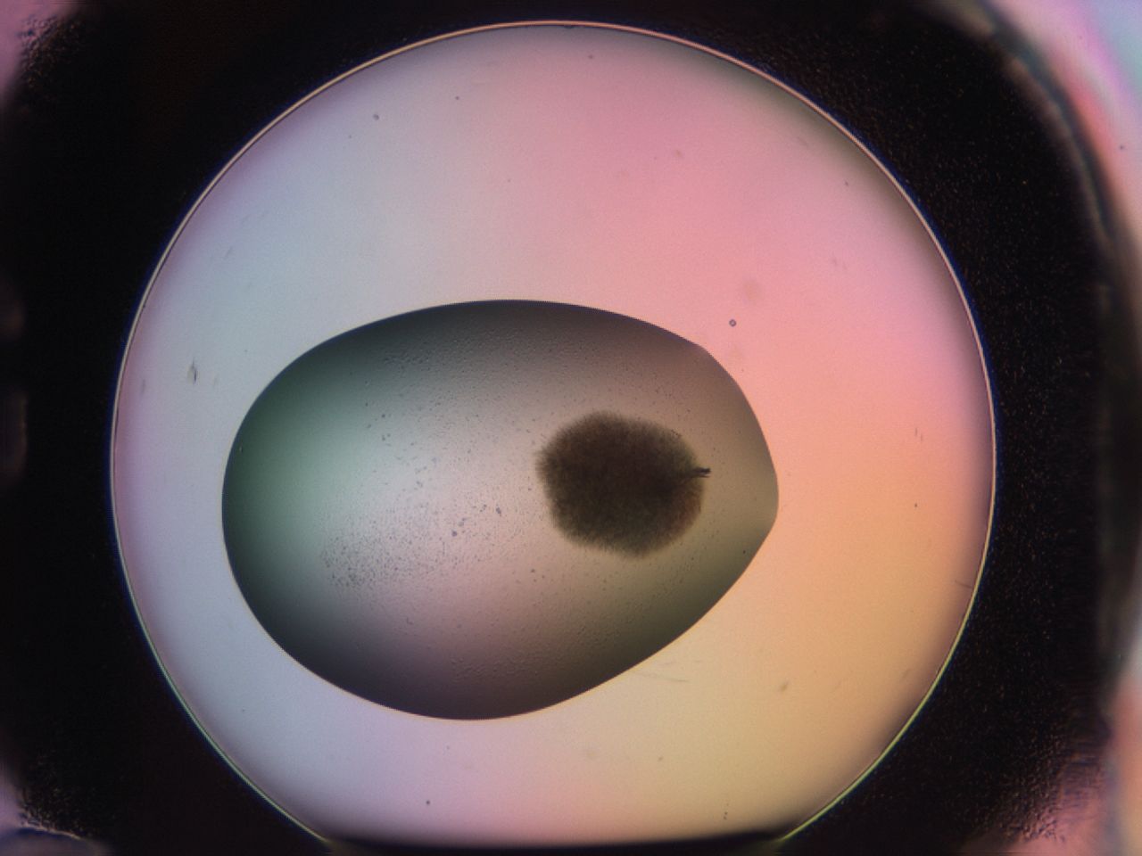 03er_G12_ImagerDefaults_6.jpg
