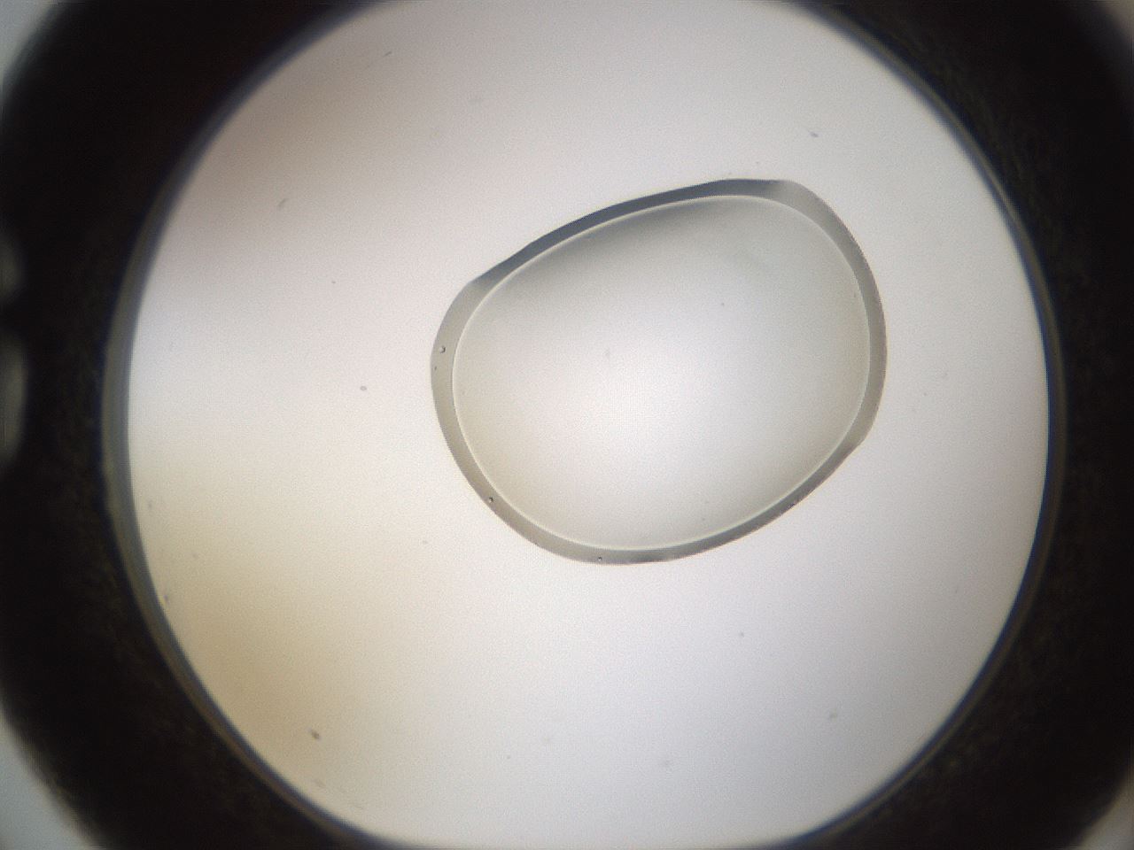 folderID594_plateID1594_batchID6733_wellNum75_profileID1_d1_r107080_ef.jpg