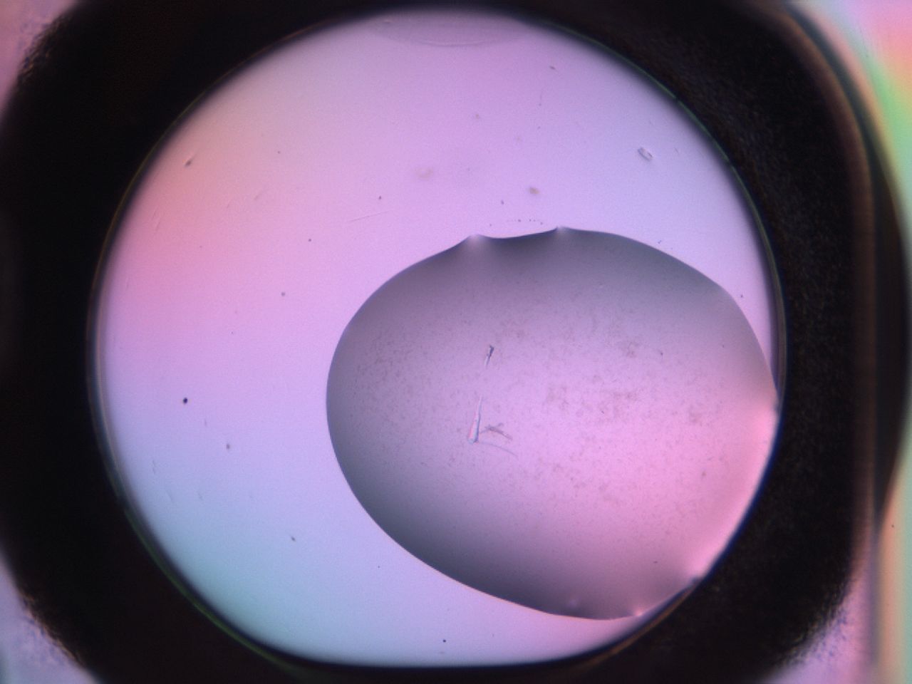03er_D4_ImagerDefaults_6.jpg
