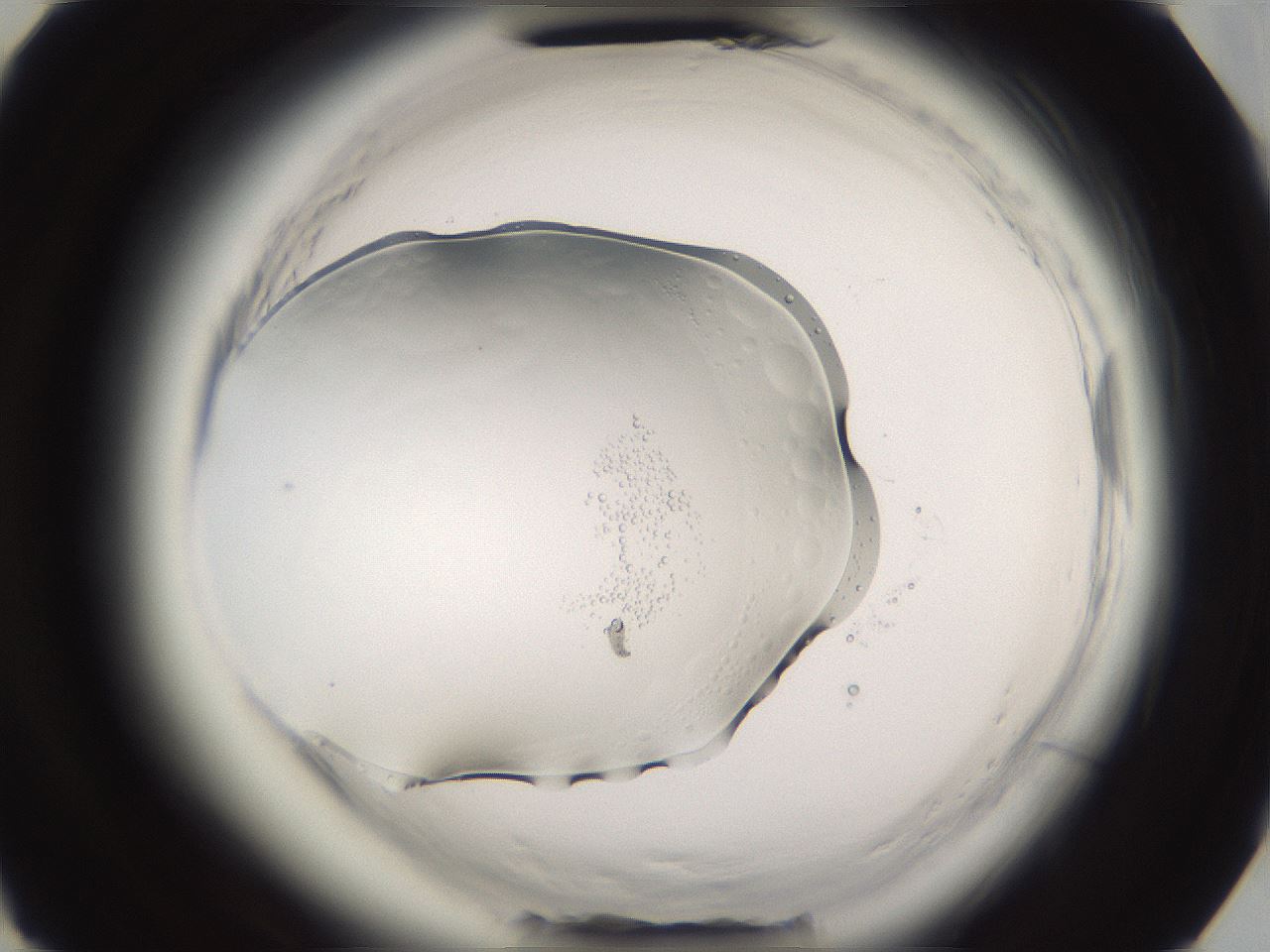 folderID594_plateID2594_batchID13187_wellNum73_profileID1_d3_r205572_ef.jpg