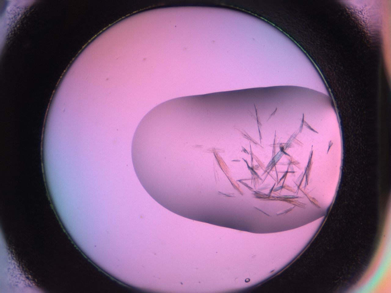 03er_C8_ImagerDefaults_7.jpg