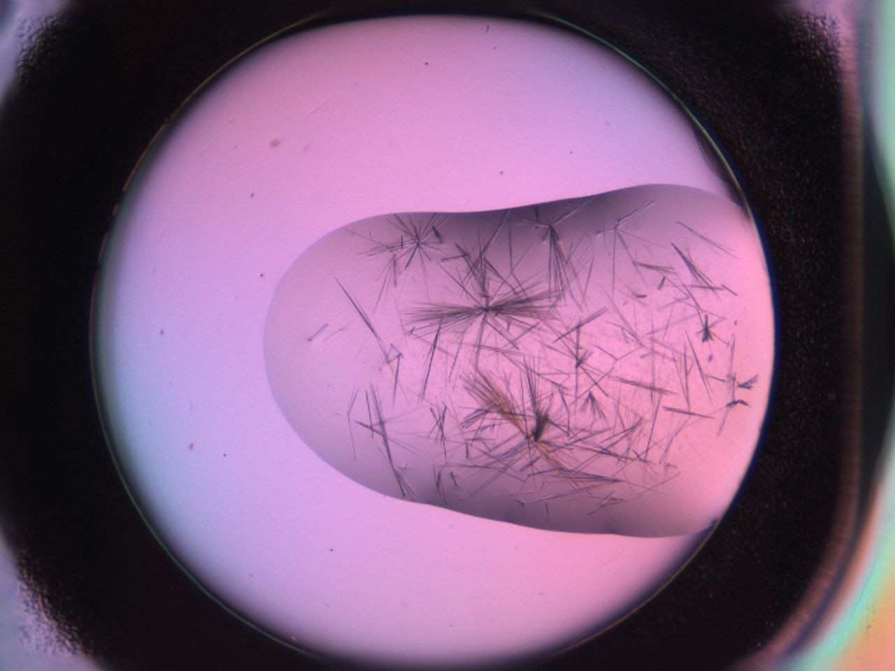 03er_C3_ImagerDefaults_6.jpg