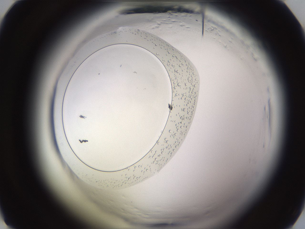 folderID595_plateID2595_batchID13189_wellNum13_profileID1_d1_r206254_ef.jpg