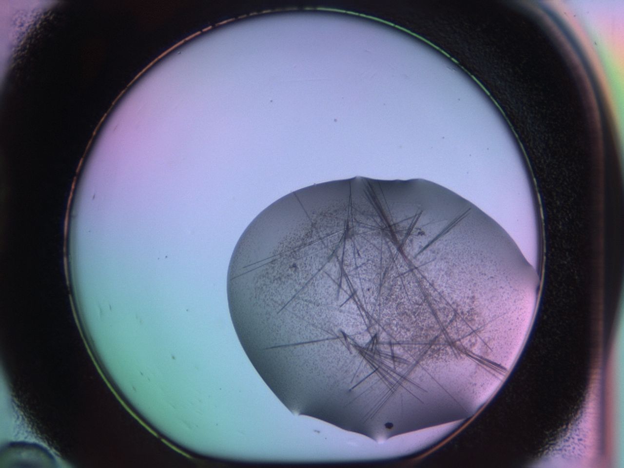 03es_D10_ImagerDefaults_6.jpg