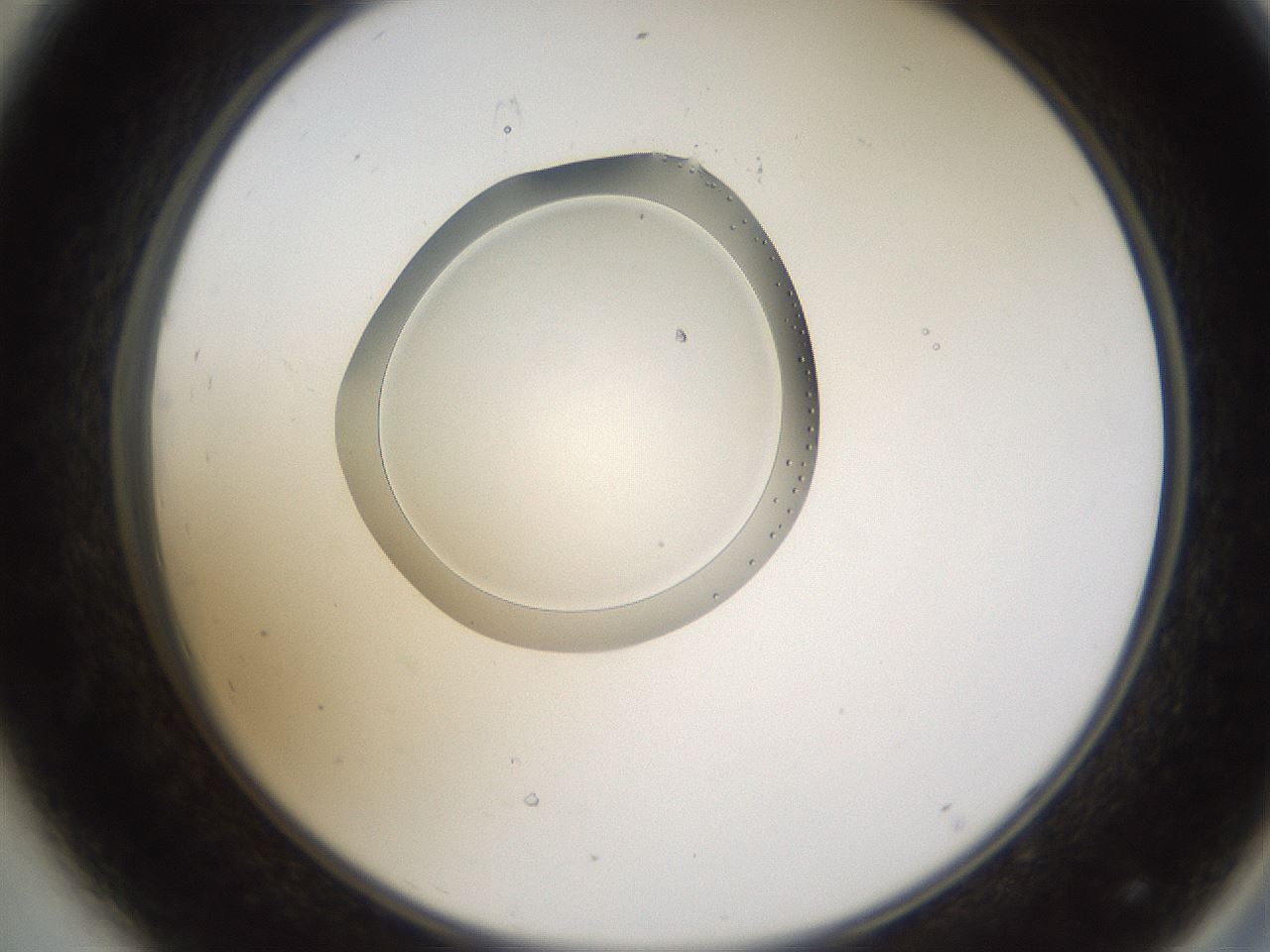 folderID596_plateID1596_batchID6729_wellNum44_profileID1_d2_r106251_ef.jpg