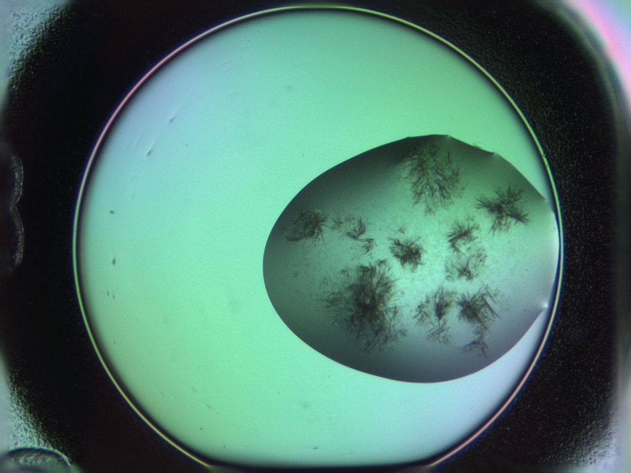 03es_B12_ImagerDefaults_6.jpg