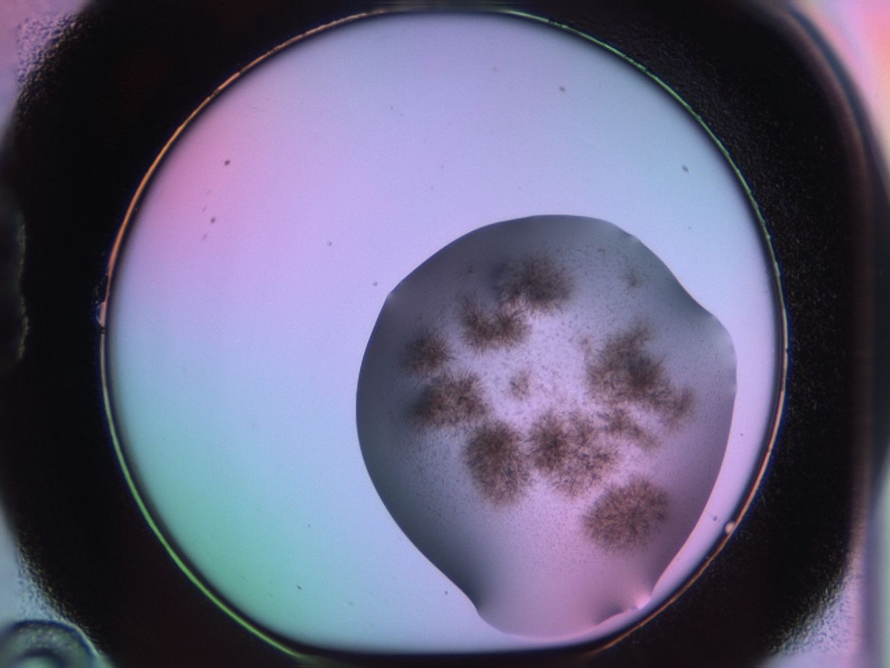 03et_B10_ImagerDefaults_6.jpg