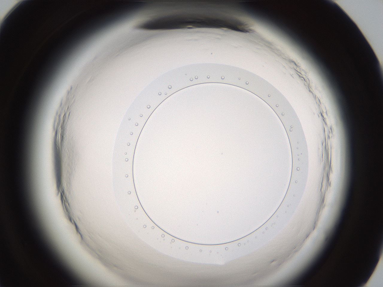 folderID597_plateID2597_batchID13193_wellNum95_profileID1_d1_r207652_ef.jpg