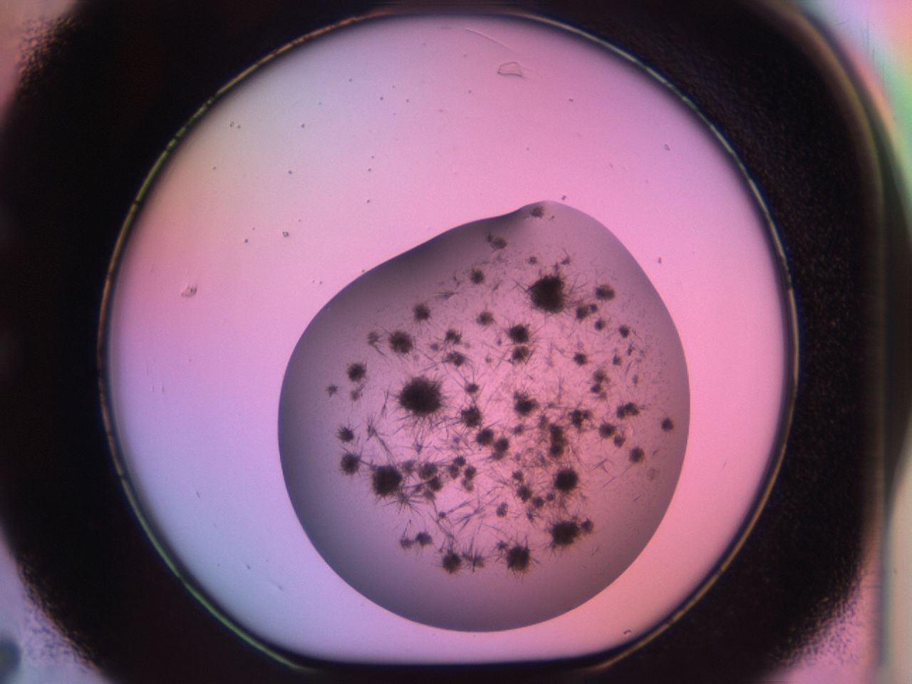 03et_C7_ImagerDefaults_6.jpg