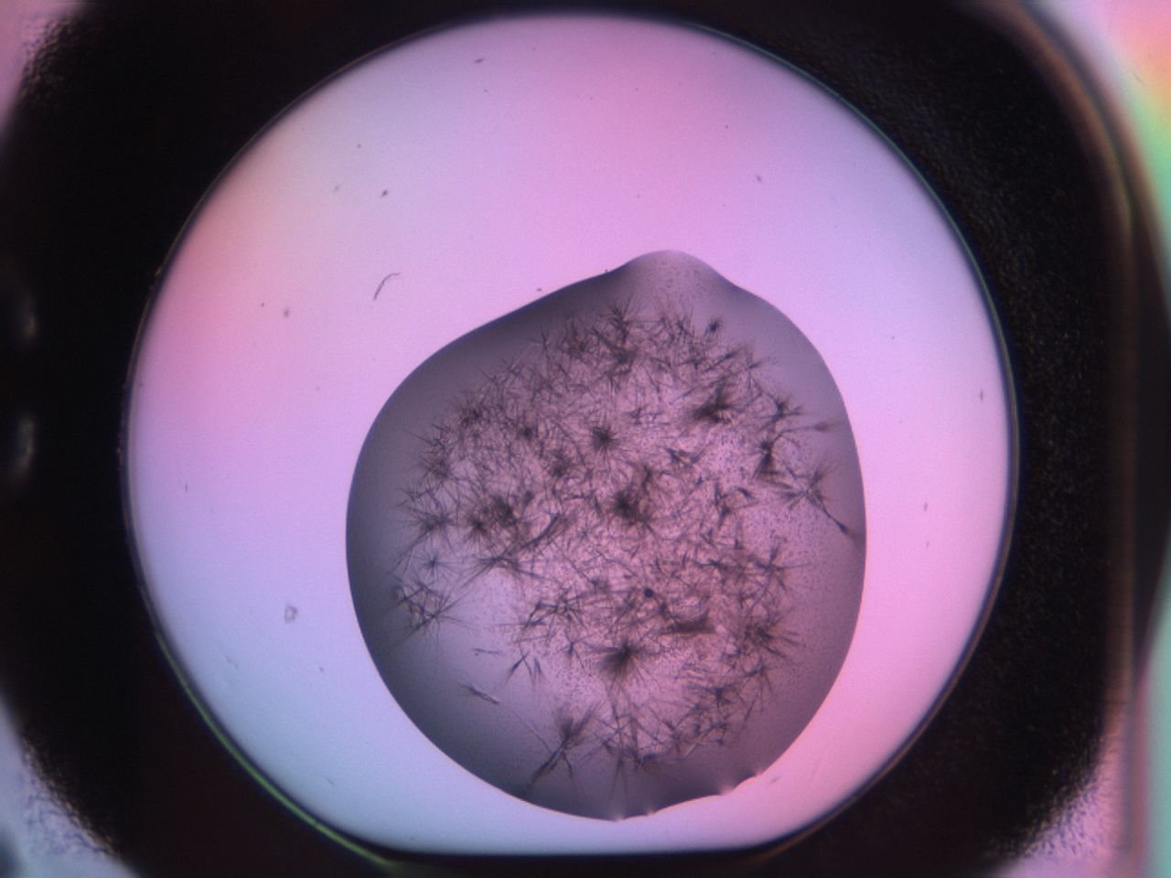 03et_C6_ImagerDefaults_6.jpg