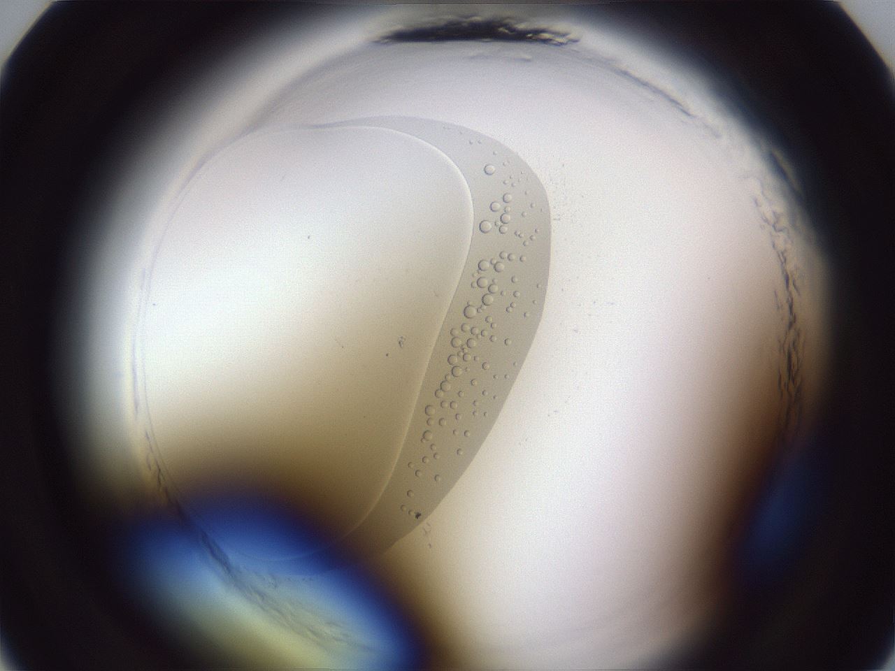 folderID598_plateID2598_batchID13155_wellNum10_profileID1_d1_r197316_ef.jpg