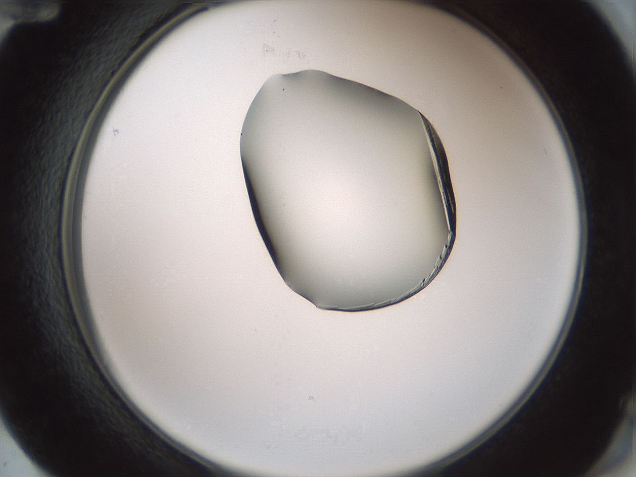 folderID227_plateID1227_batchID3777_wellNum72_profileID1_d2_r71337_ef.jpg