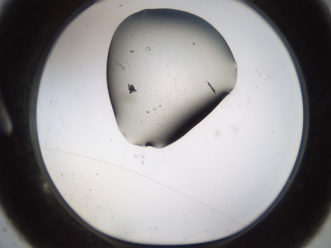 folderID259_plateID1259_batchID4130_wellNum9_profileID1_d1_r72768_ef.jpg