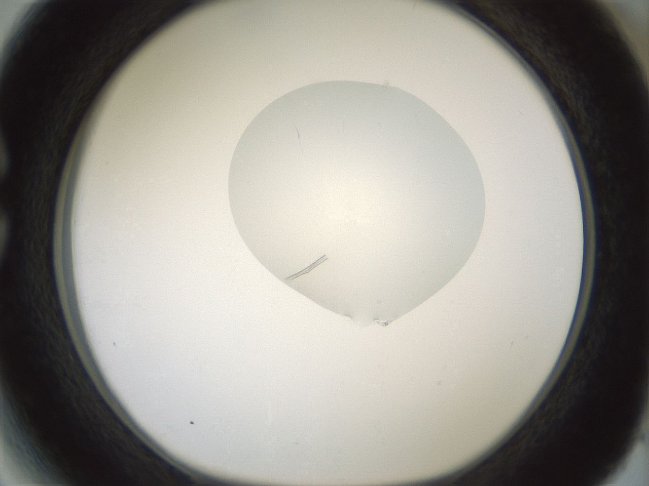 folderID267_plateID1267_batchID4193_wellNum27_profileID1_d1_r76268_ef.jpg