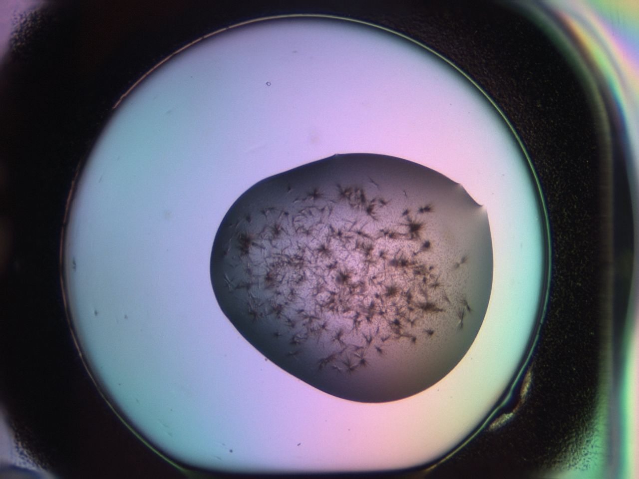 03eu_G10_ImagerDefaults_6.jpg