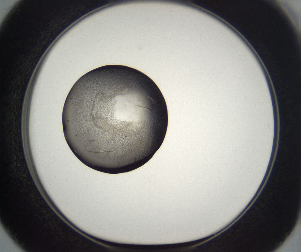 folderID290_plateID2290_batchID10843_wellNum50_profileID1_d1_r160703_ef.jpg