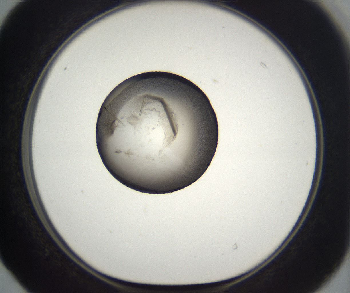 folderID290_plateID2290_batchID10843_wellNum40_profileID1_d1_r160693_ef.jpg