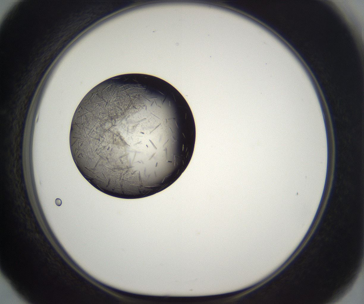 folderID290_plateID2290_batchID10843_wellNum53_profileID1_d1_r160706_ef.jpg