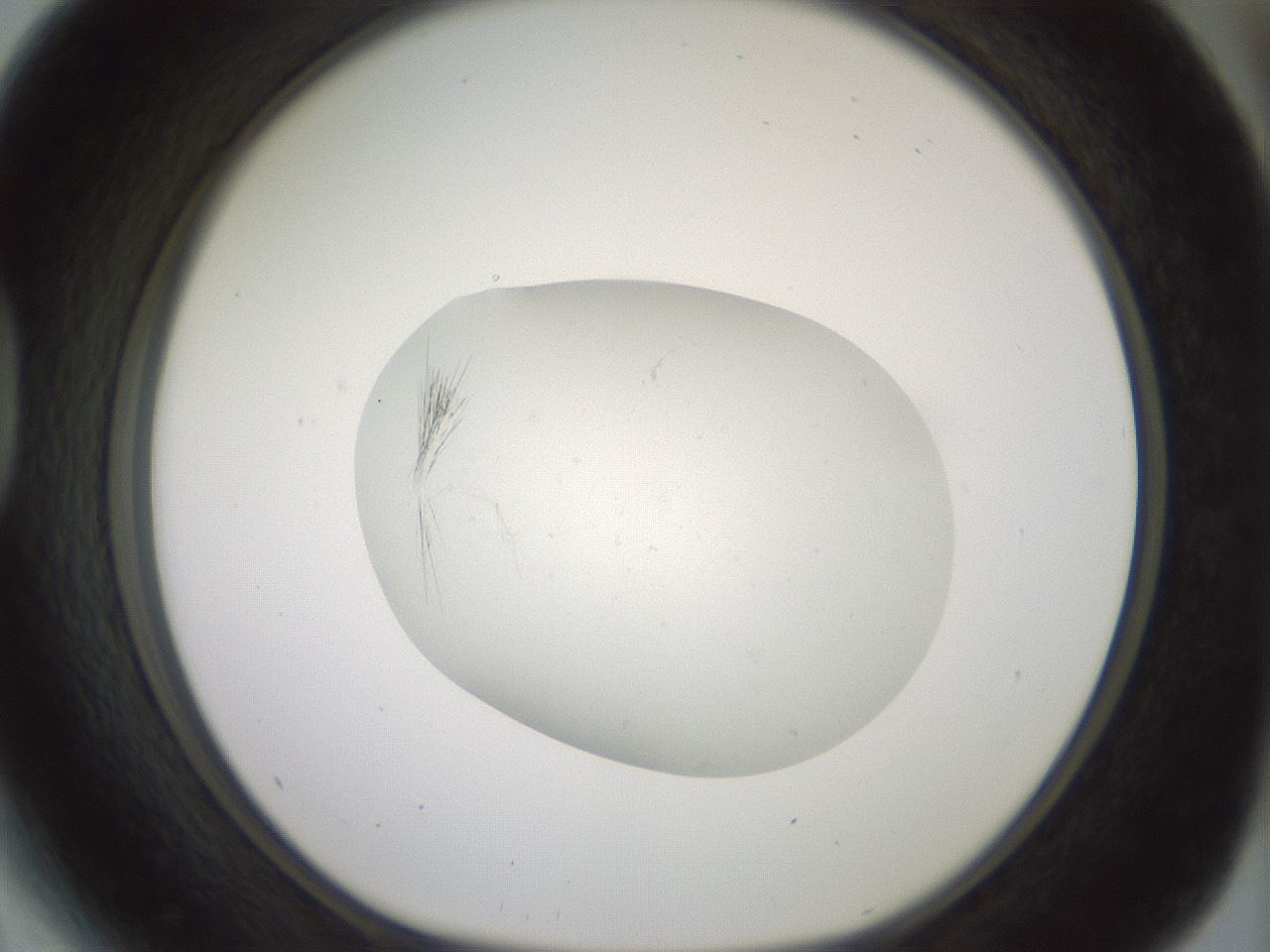 folderID318_plateID1318_batchID4363_wellNum41_profileID1_d1_r79104_ef.jpg