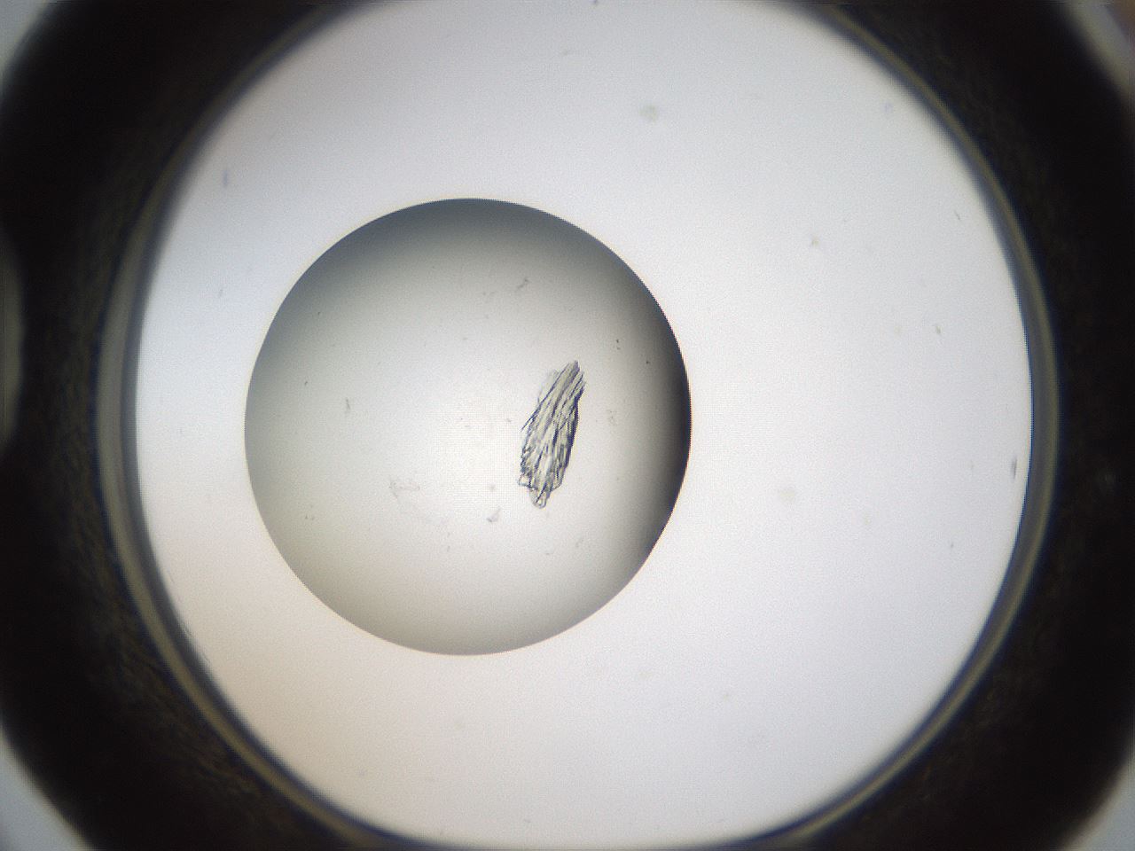 folderID319_plateID1319_batchID4362_wellNum42_profileID1_d1_r79009_ef.jpg