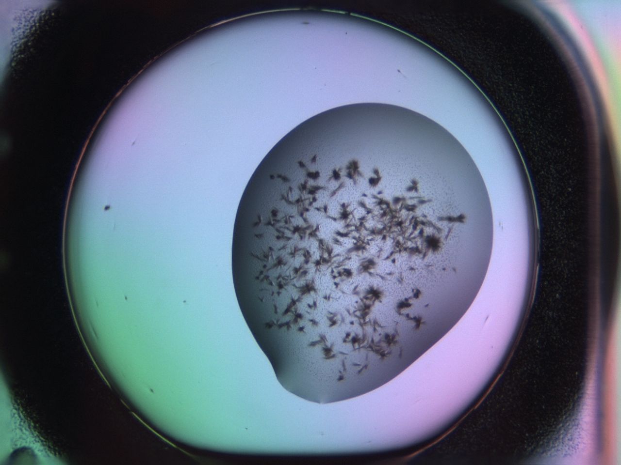 03ev_E11_ImagerDefaults_6.jpg