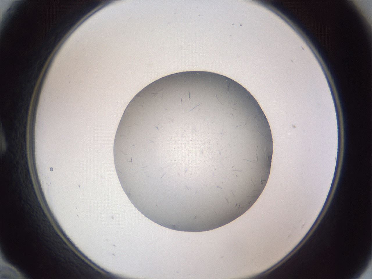 folderID326_plateID1326_batchID4444_wellNum10_profileID1_d1_r79697_ef.jpg