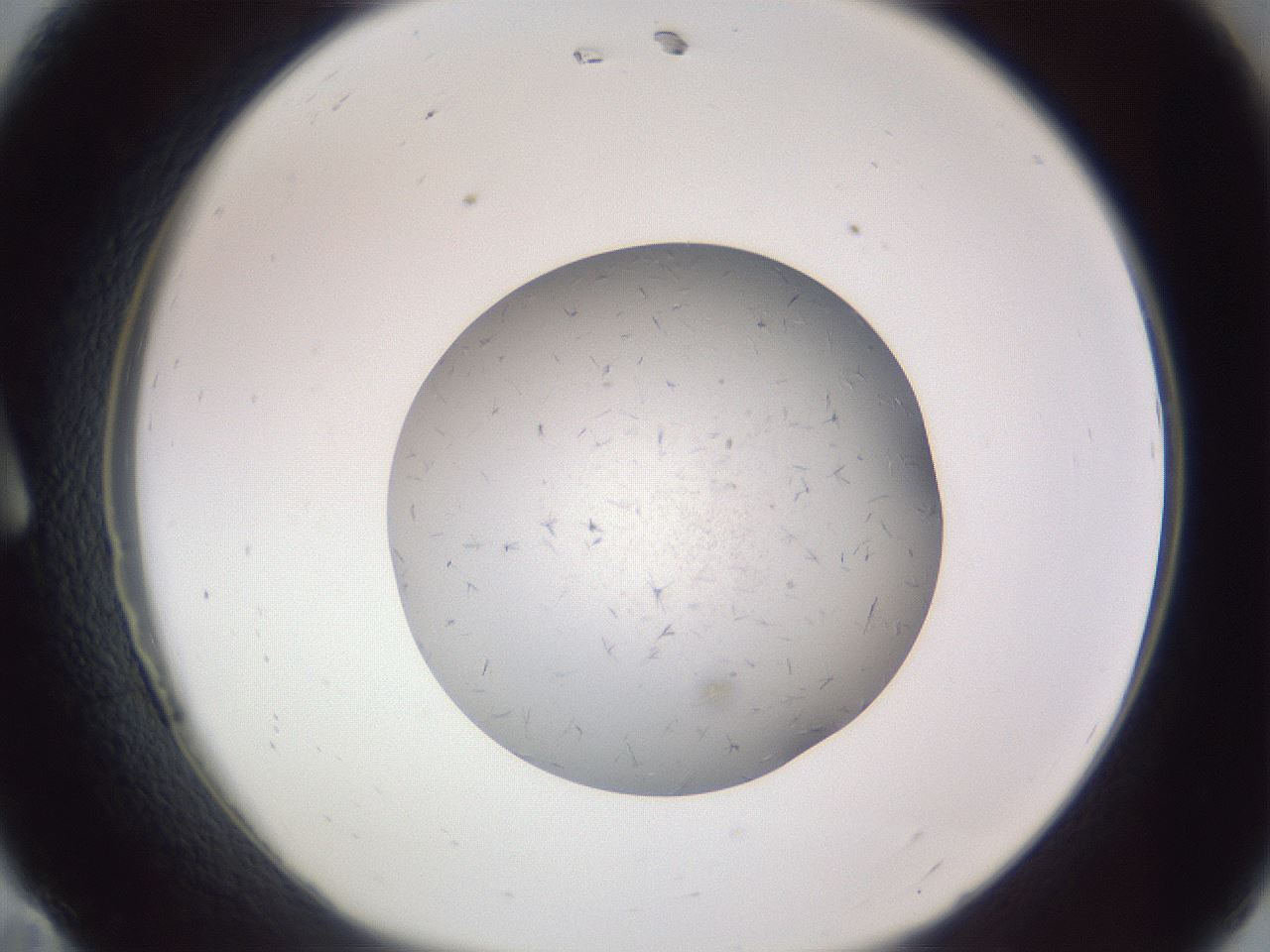folderID326_plateID1326_batchID4444_wellNum11_profileID1_d1_r79698_ef.jpg