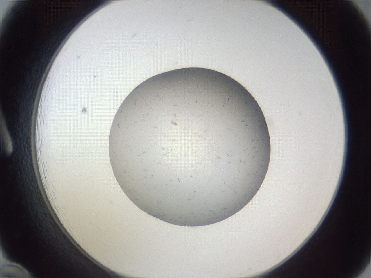 folderID326_plateID1326_batchID4444_wellNum12_profileID1_d1_r79699_ef.jpg