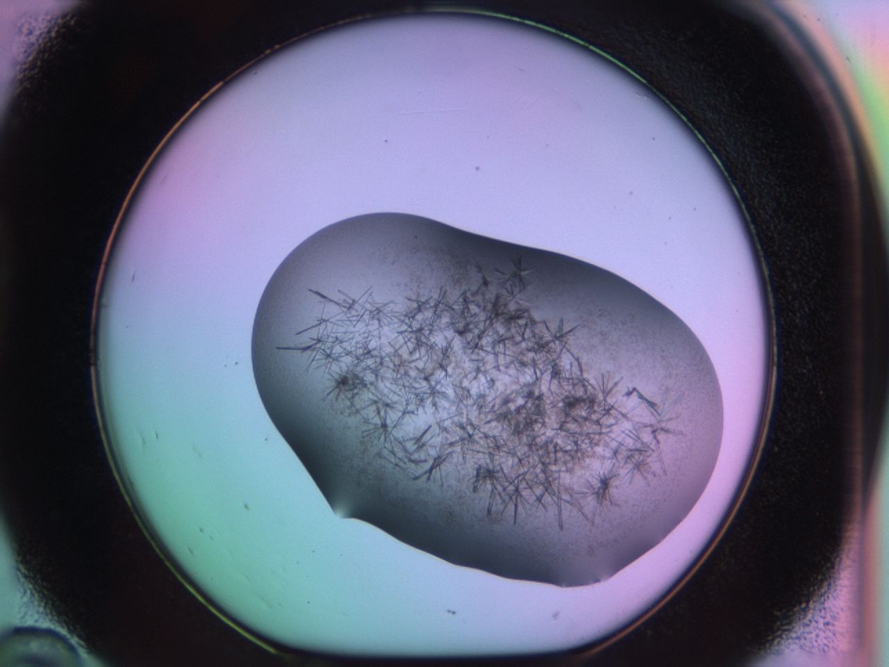 03ev_D10_ImagerDefaults_6.jpg