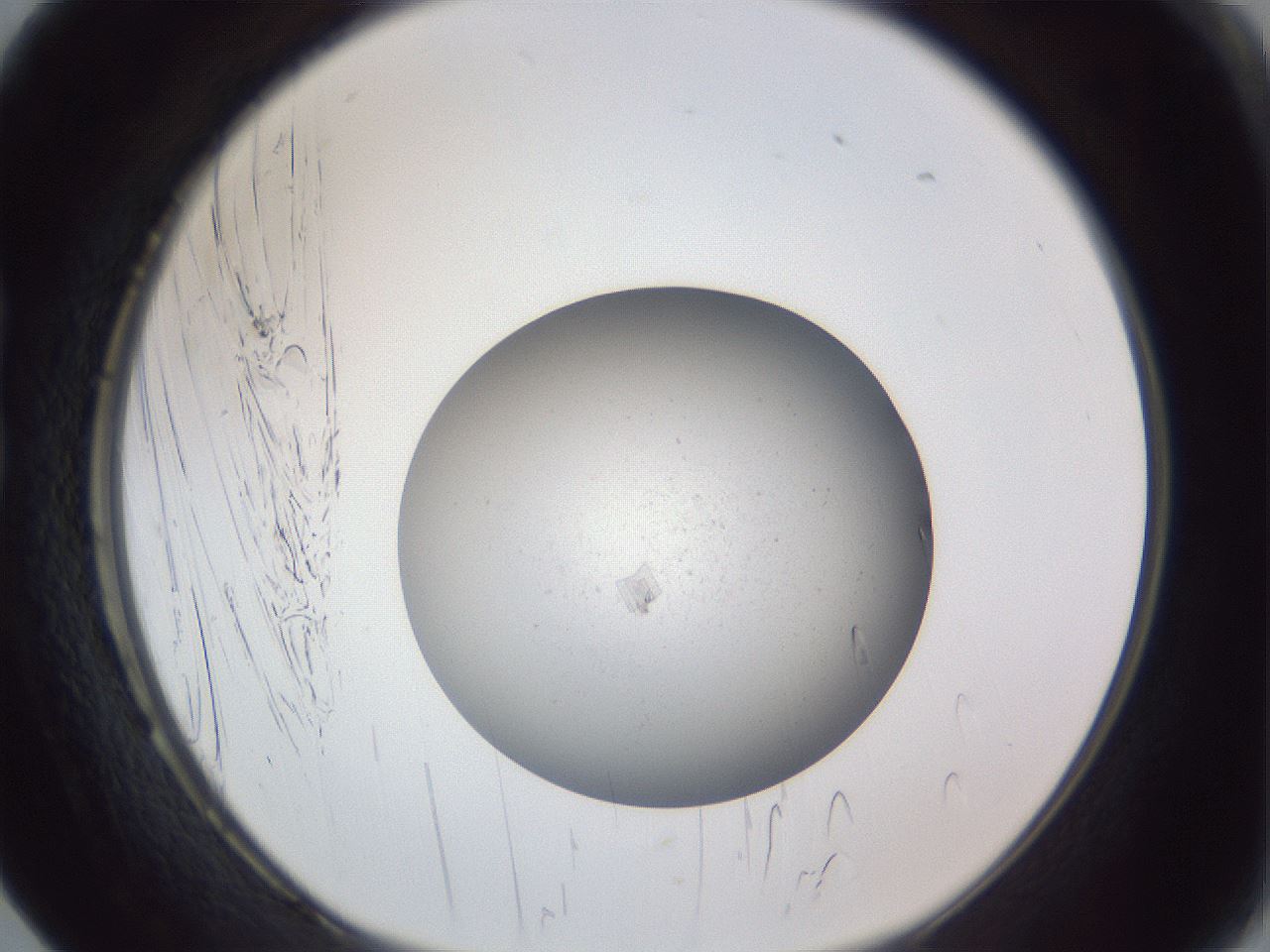folderID326_plateID1326_batchID4444_wellNum17_profileID1_d1_r79704_ef.jpg