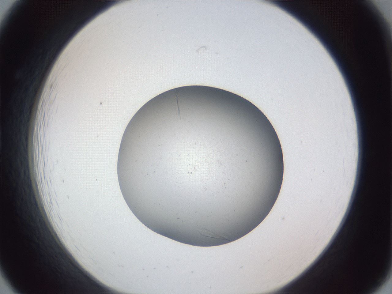 folderID326_plateID1326_batchID4444_wellNum19_profileID1_d1_r79706_ef.jpg