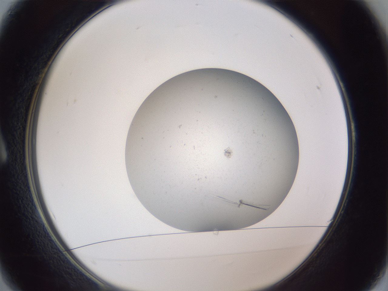 folderID326_plateID1326_batchID4444_wellNum1_profileID1_d1_r79688_ef.jpg