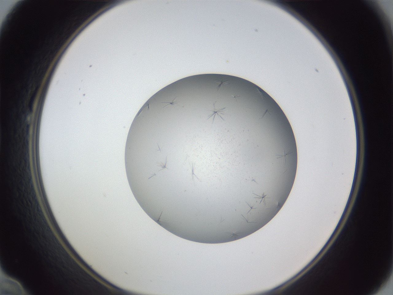folderID326_plateID1326_batchID4444_wellNum22_profileID1_d1_r79709_ef.jpg