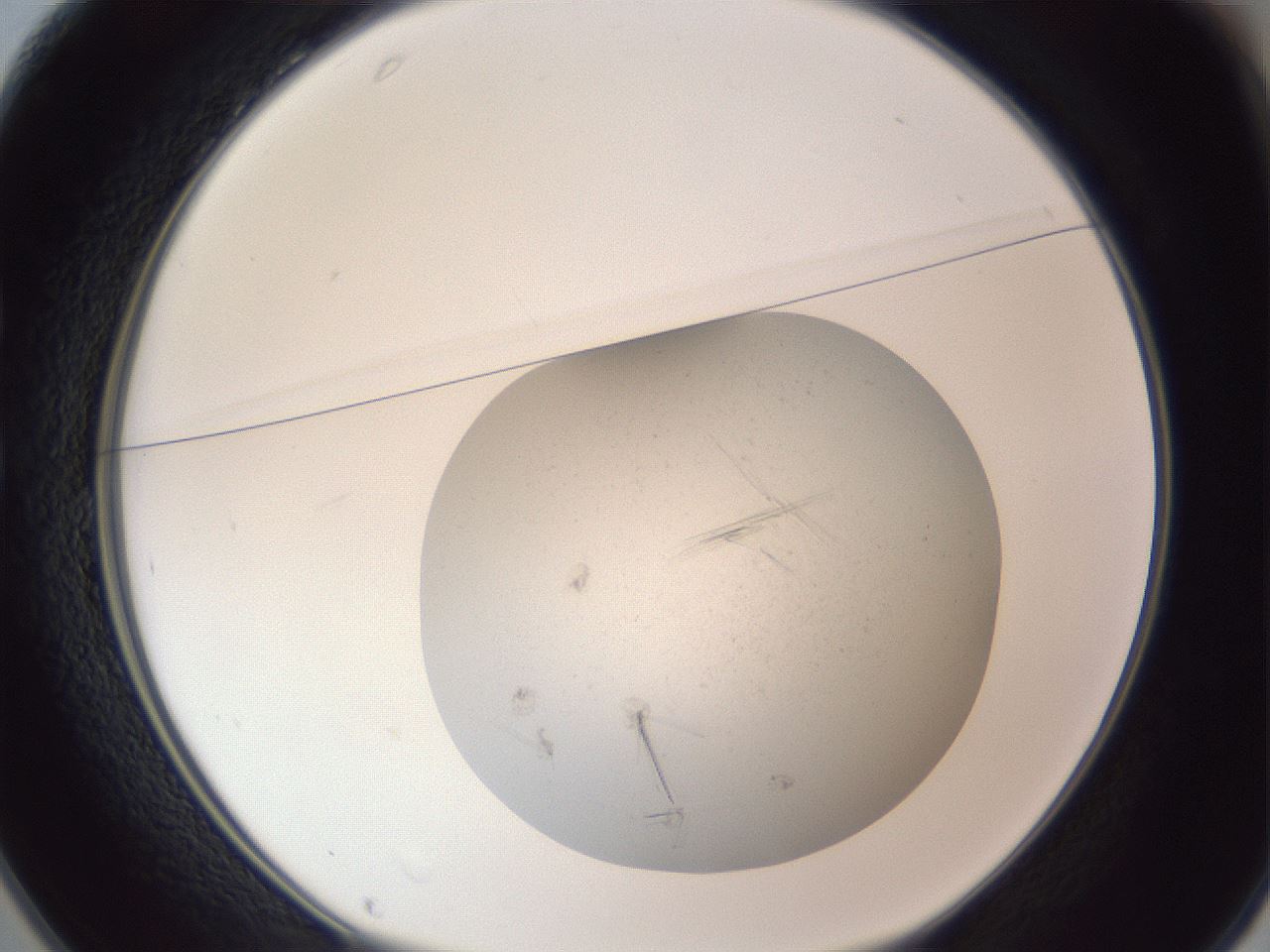 folderID326_plateID1326_batchID4444_wellNum25_profileID1_d1_r79712_ef.jpg